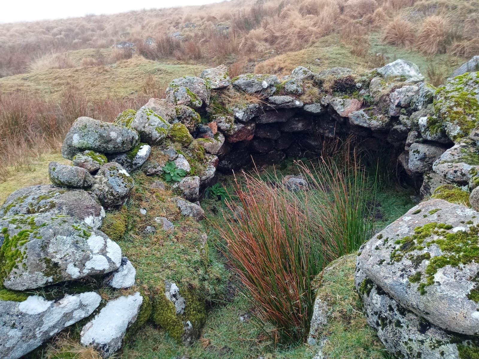 Dartmeet Dartmoor - Image 1