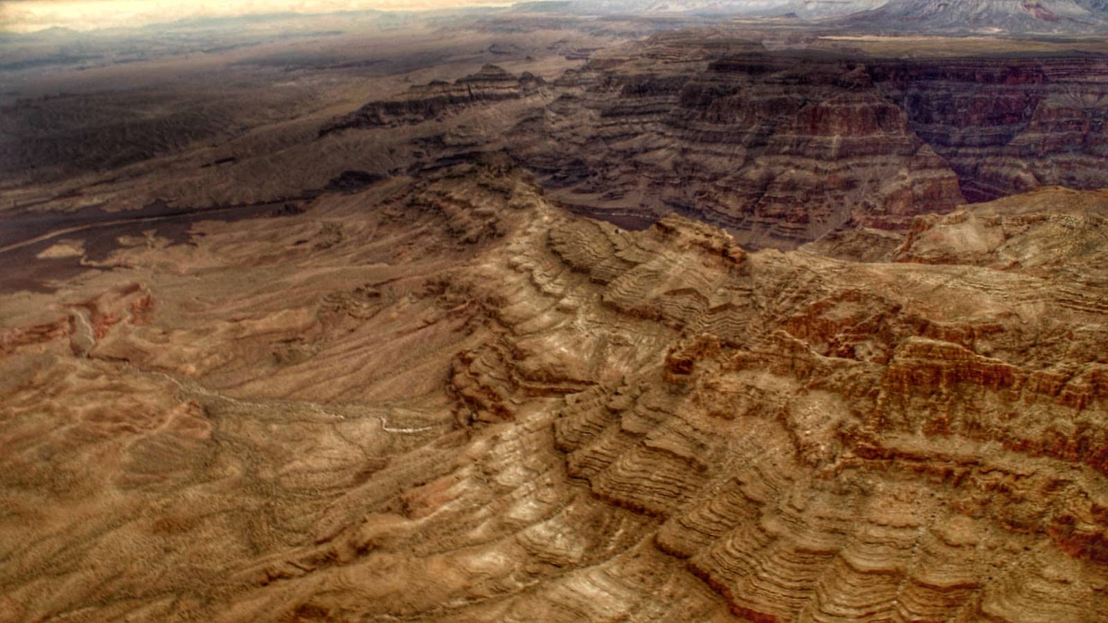 Mojave Desert Exploration