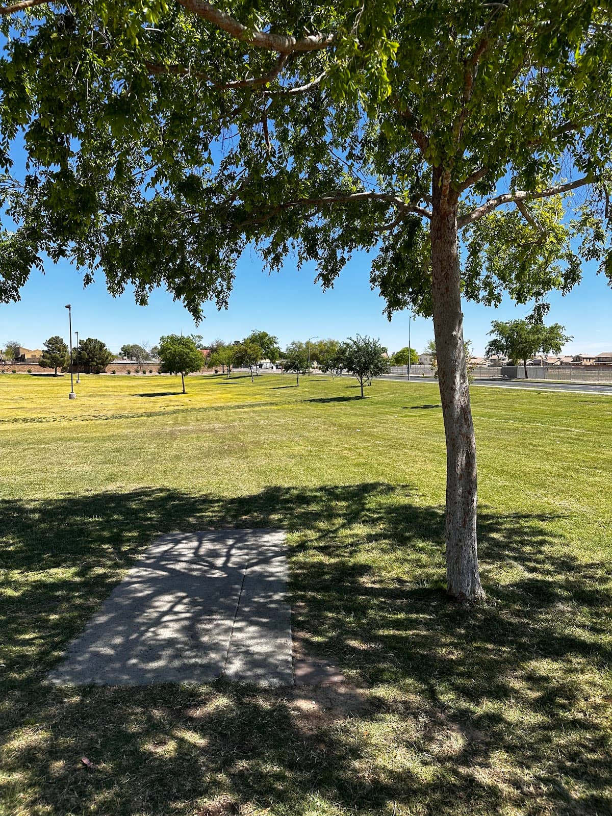 Covered Playground