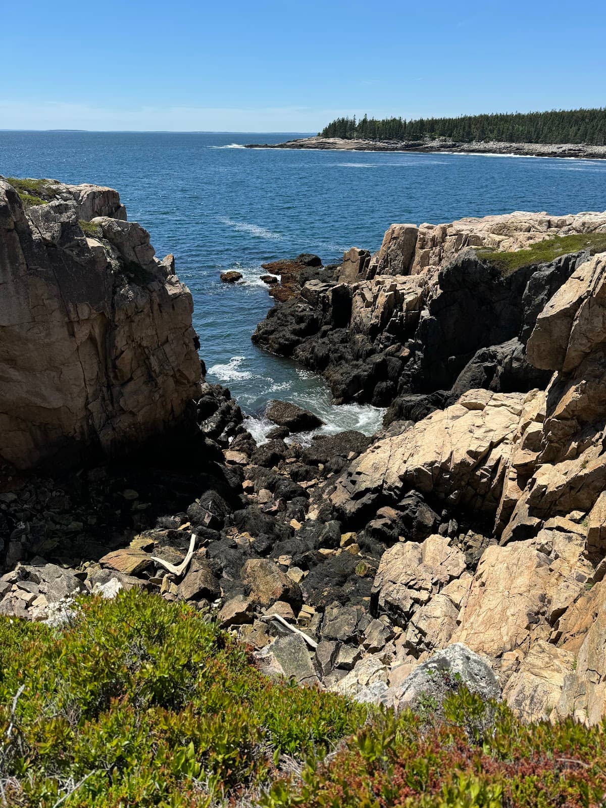 Seagull Haven