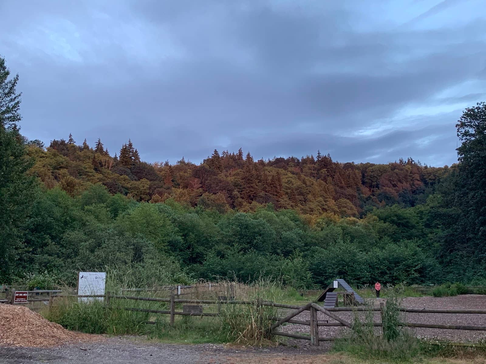 Mountain Biking Trails