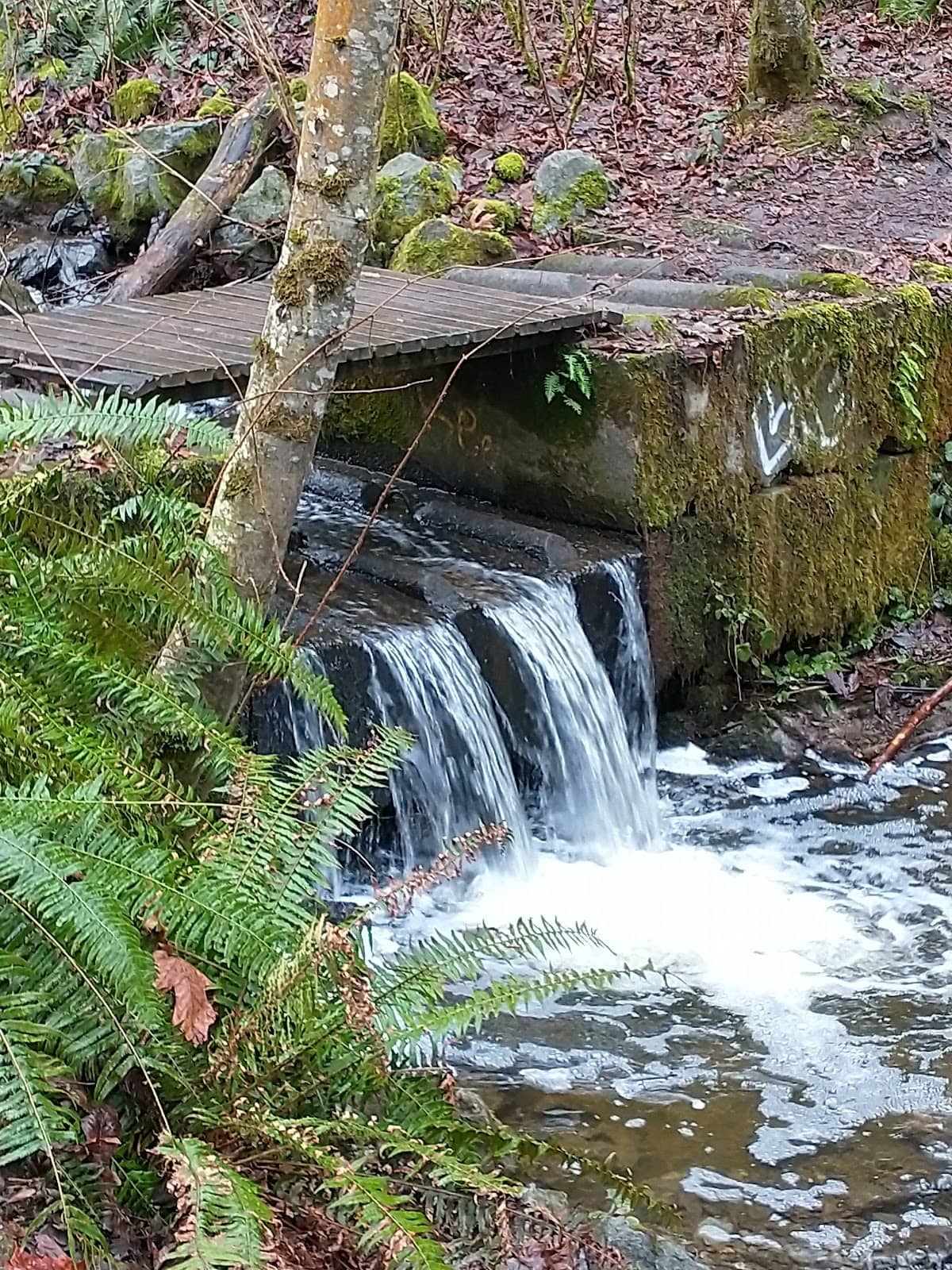 Vertical photo
