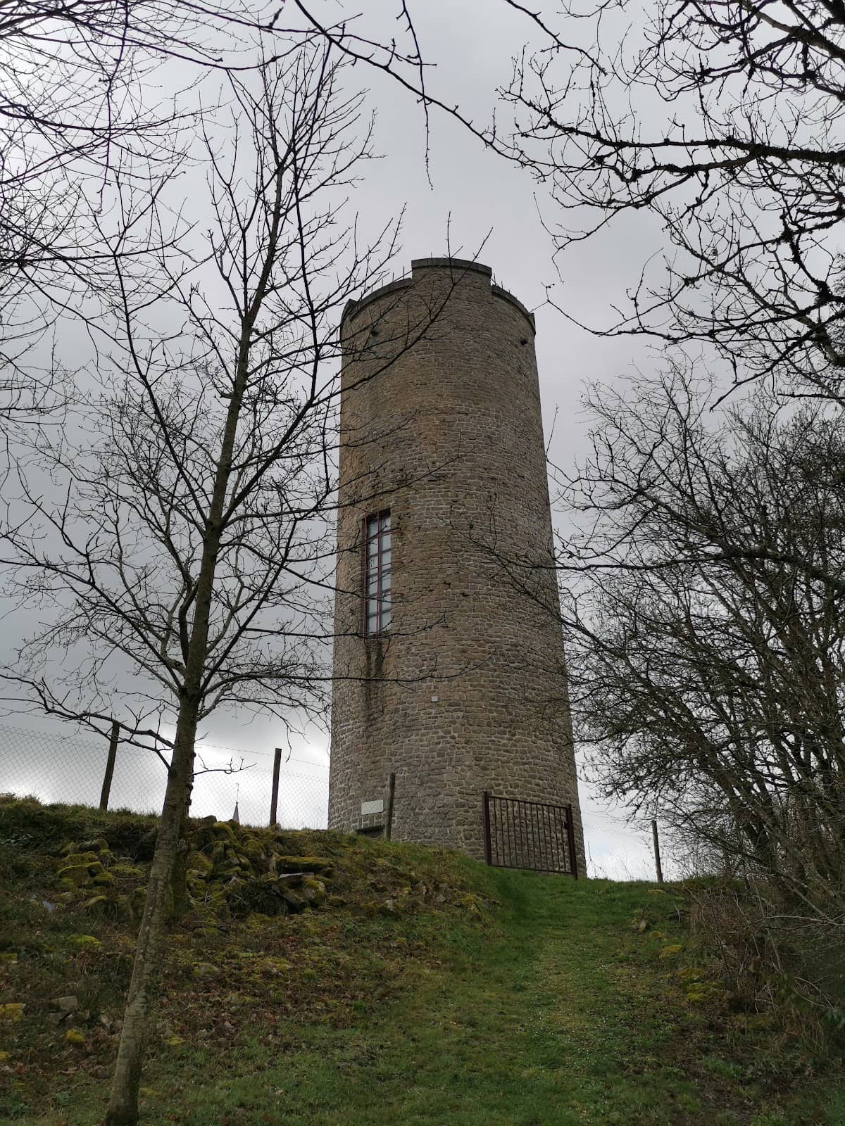 Vertical photo