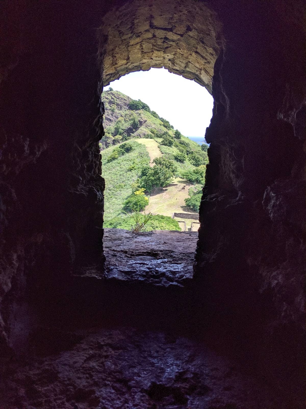 Vertical photo