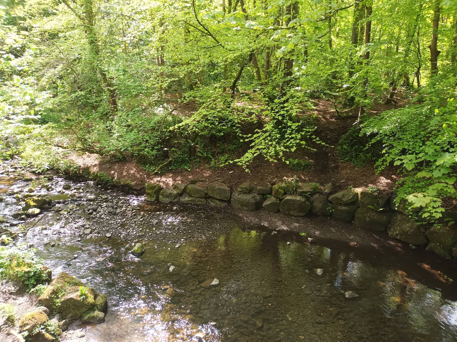 Vertical photo