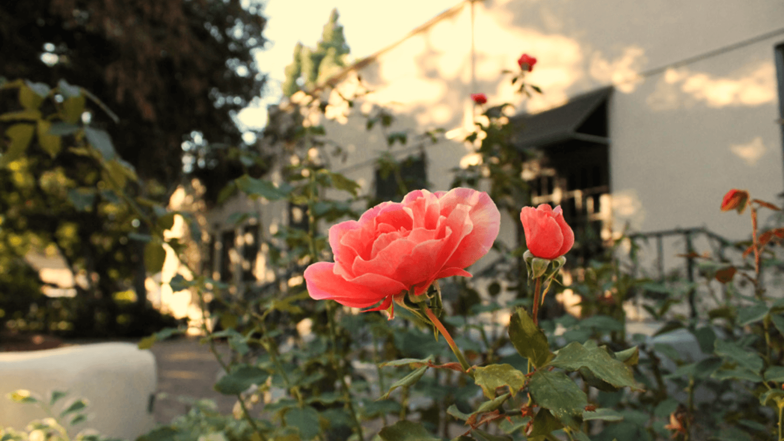 Women's Club of Orange - Image 1