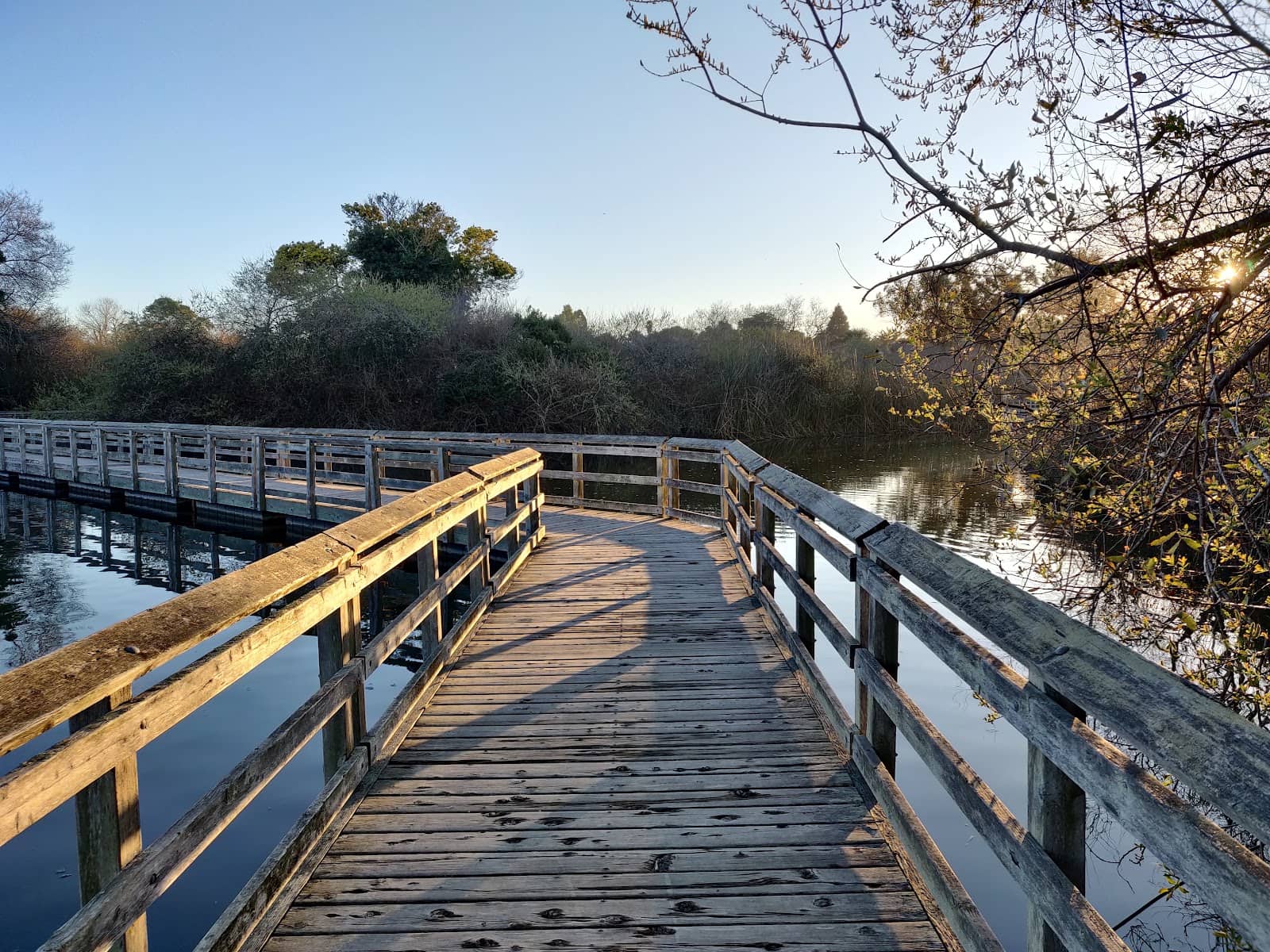 Playground & Picnic Areas