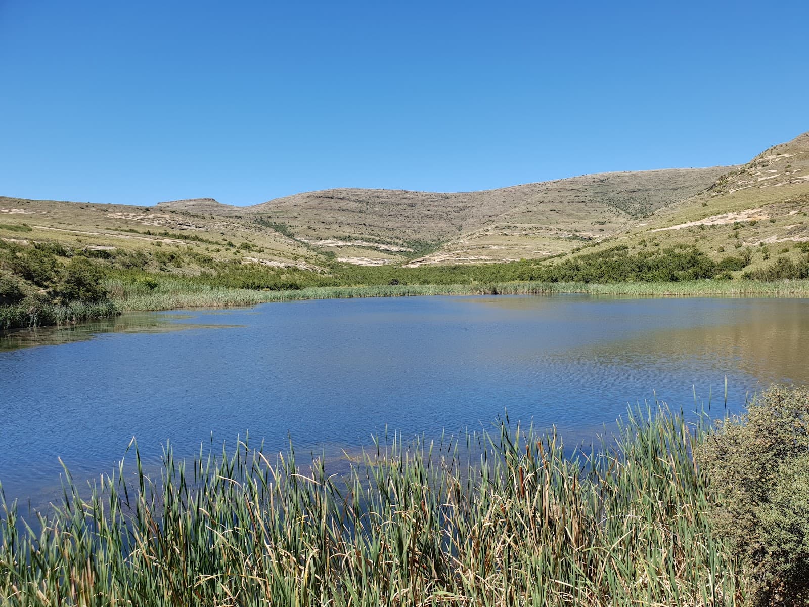 Clarens Dam - Image 1