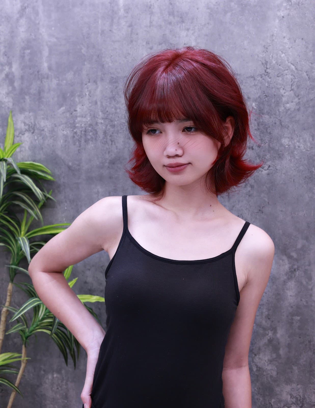 wabunka-lux.jp - Image 1