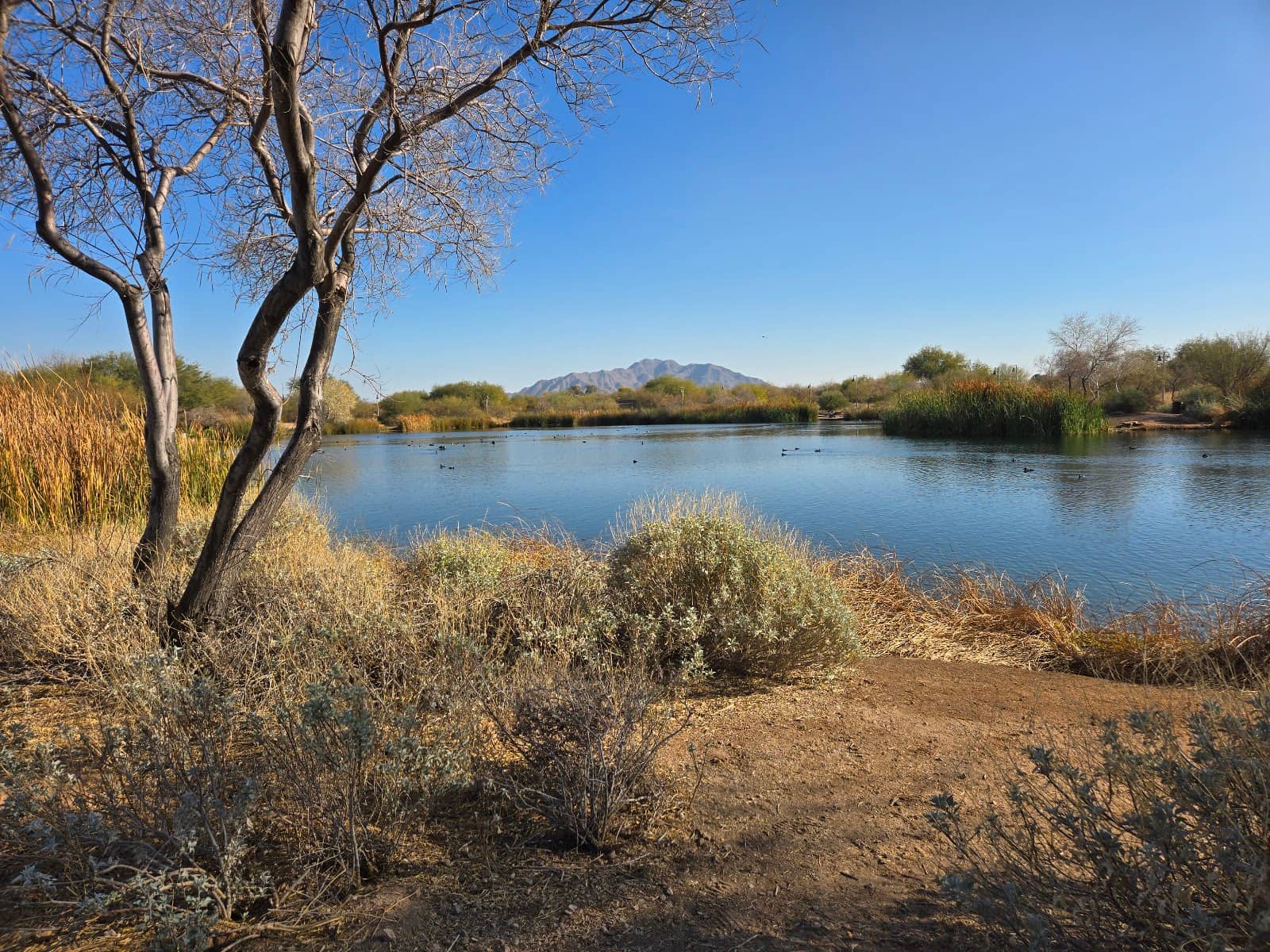 Interactive Kids' Play Area