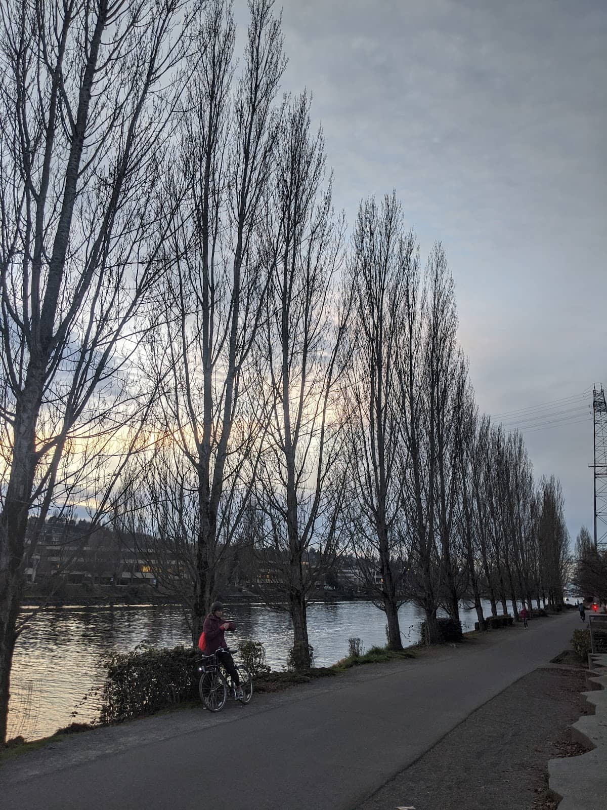 Vertical photo