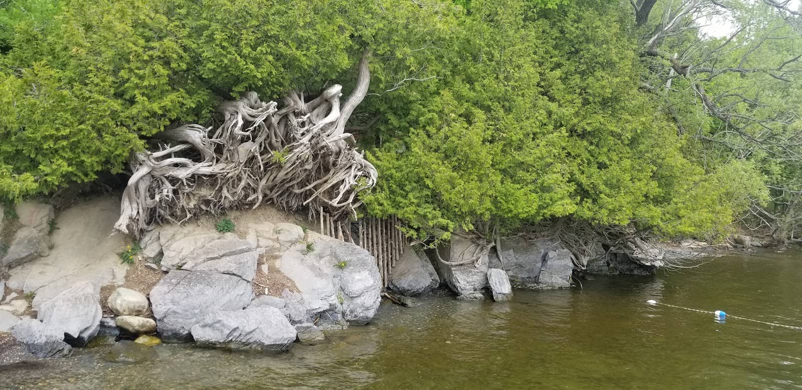 Georgeville FC Championship