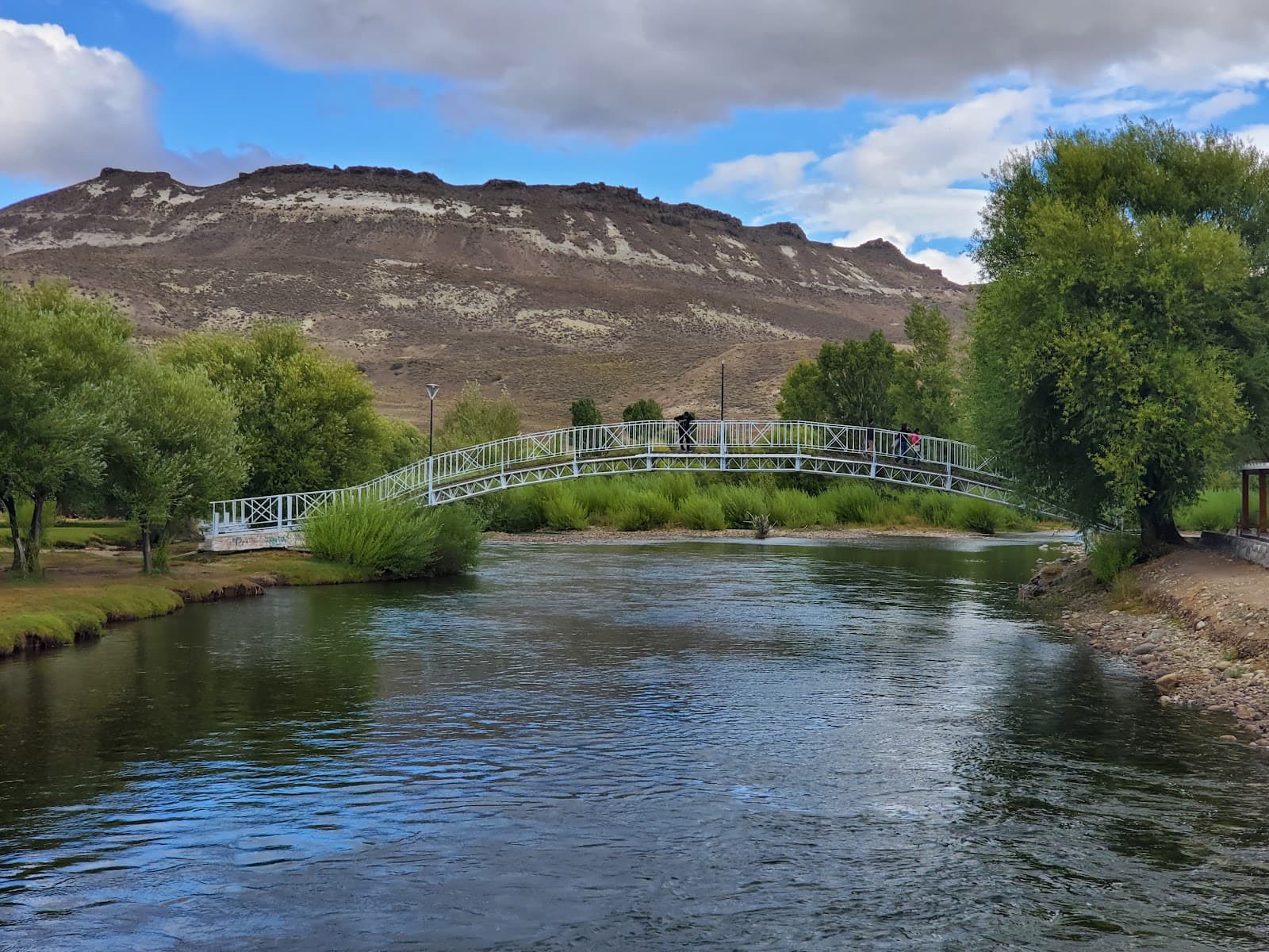 Río Chimehuín - Image 1