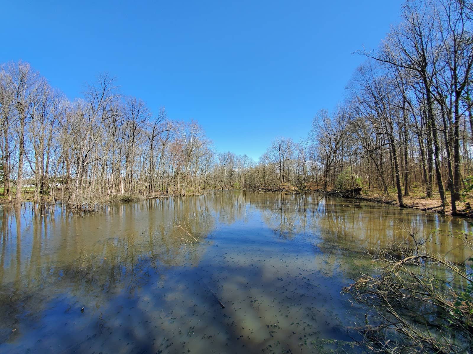 Peaceful Walking Paths
