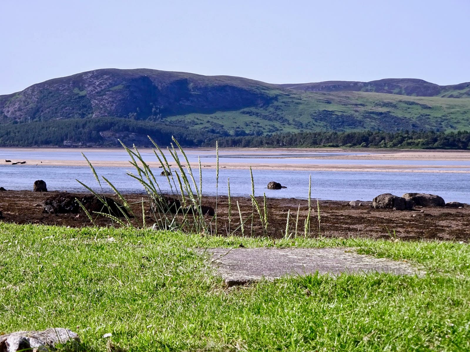 Loch Fleet National Nature Reserve - Image 1