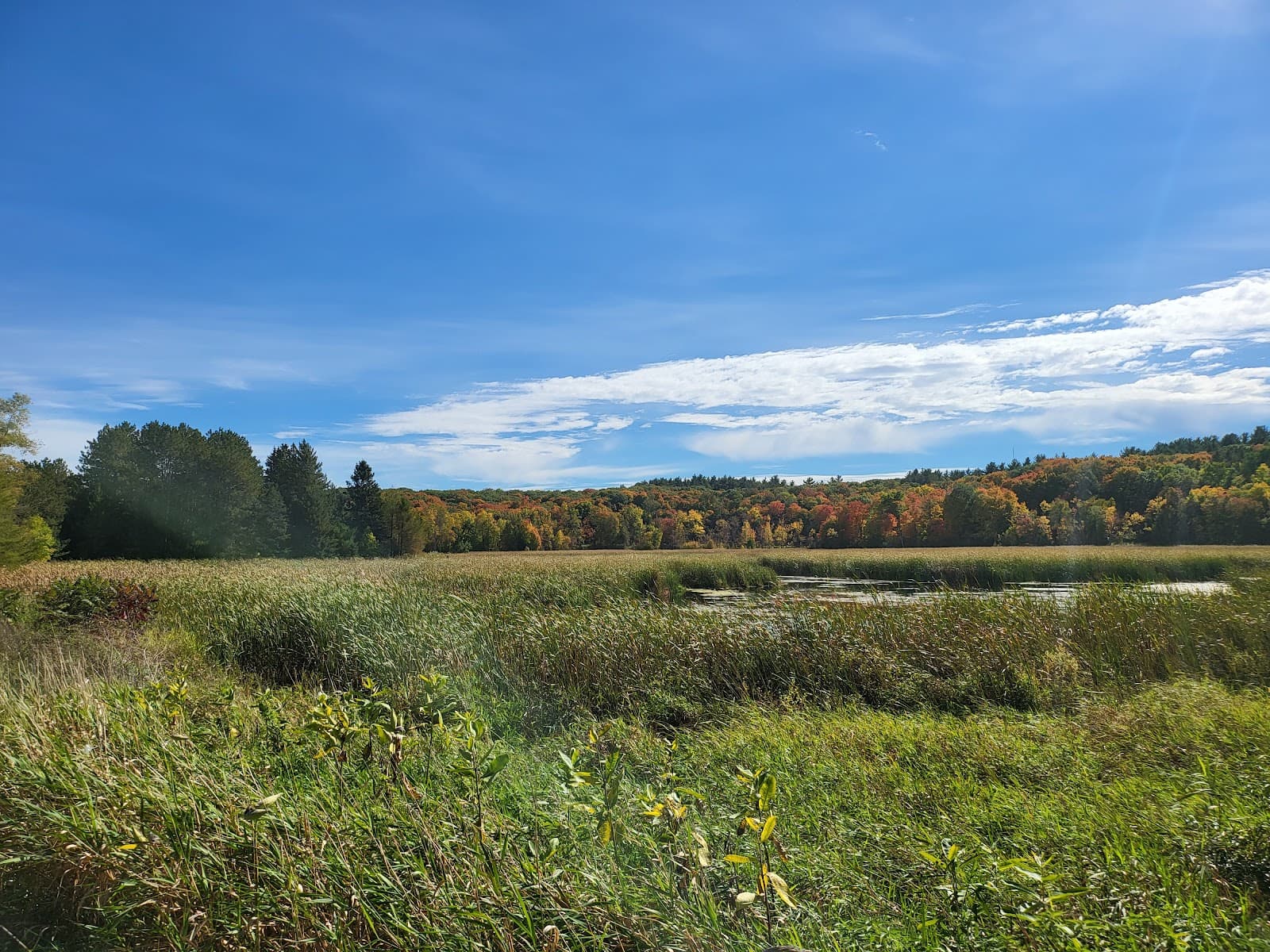 Saint John's Abbey Arboretum - Image 1