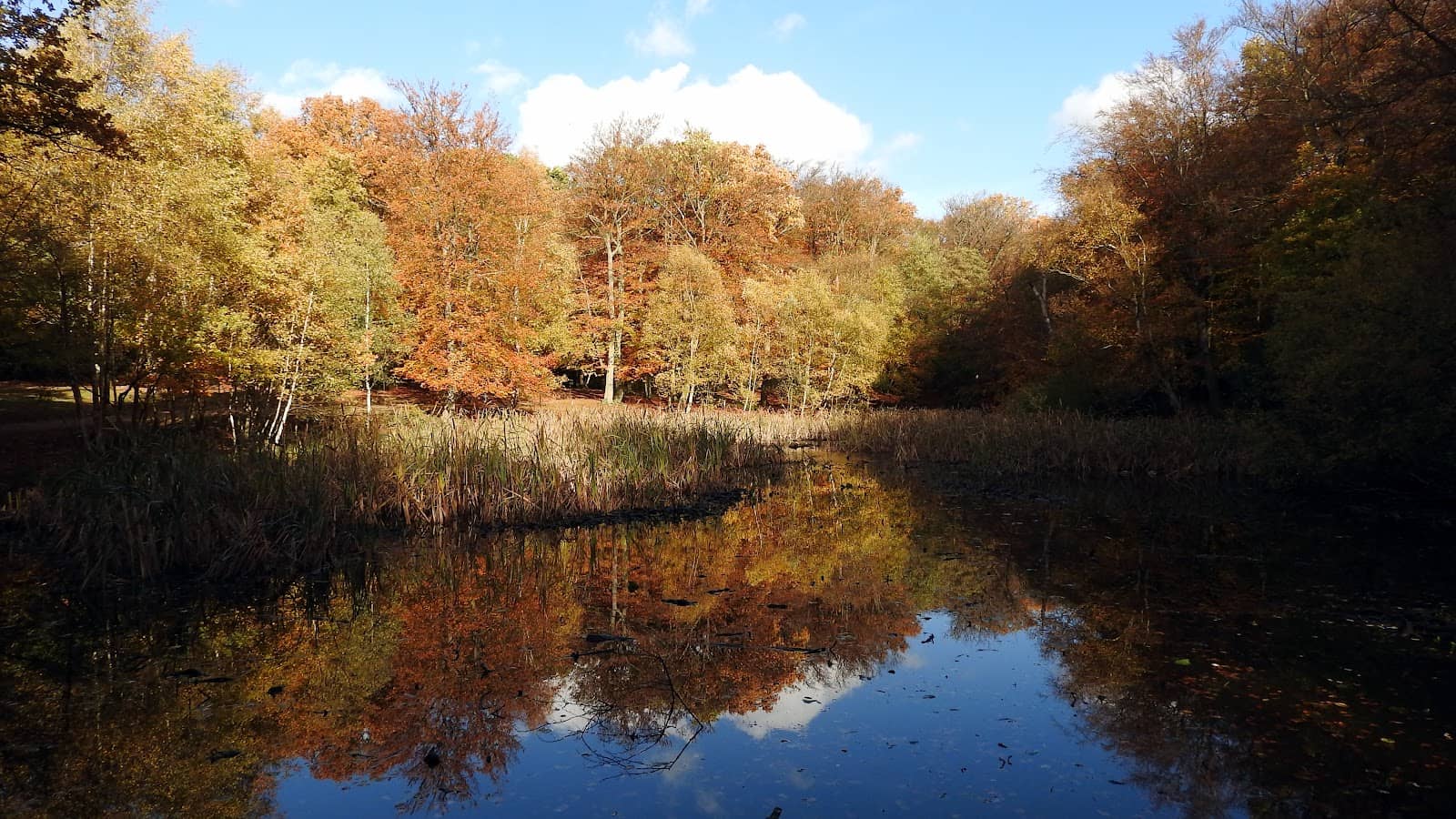 Filming Location History