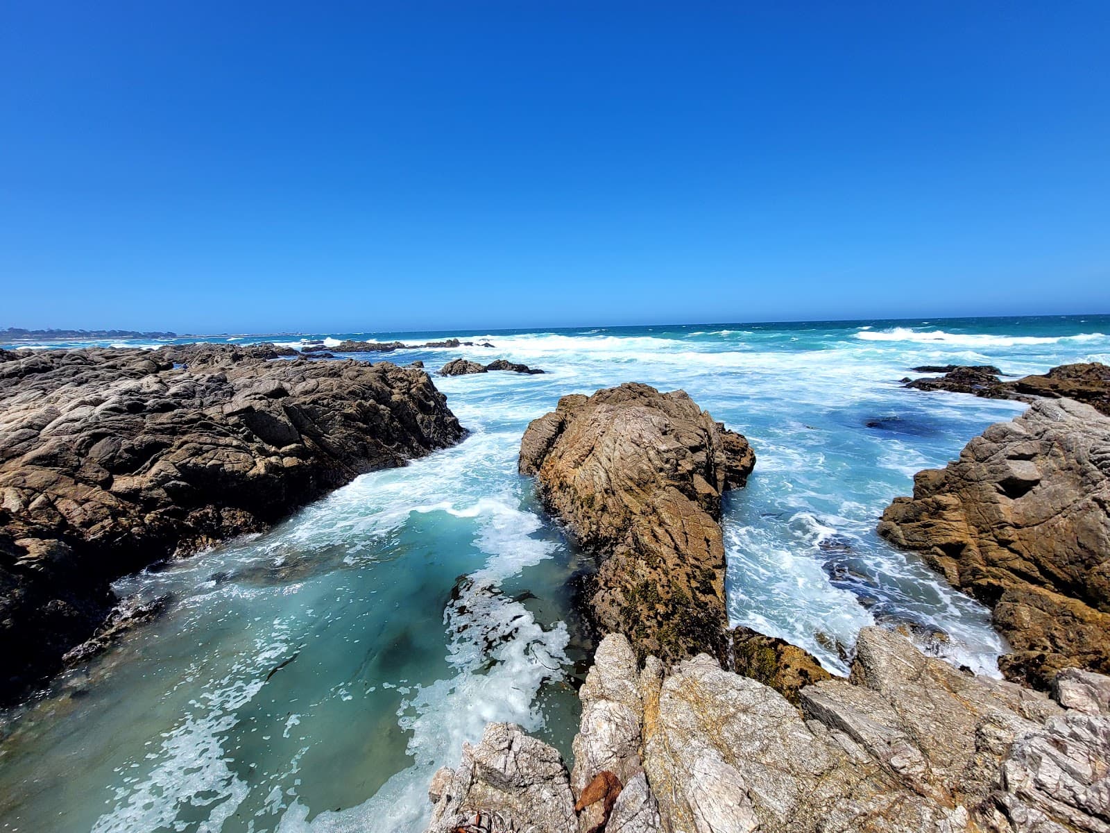 Asilomar Dunes Natural Preserve - Image 1