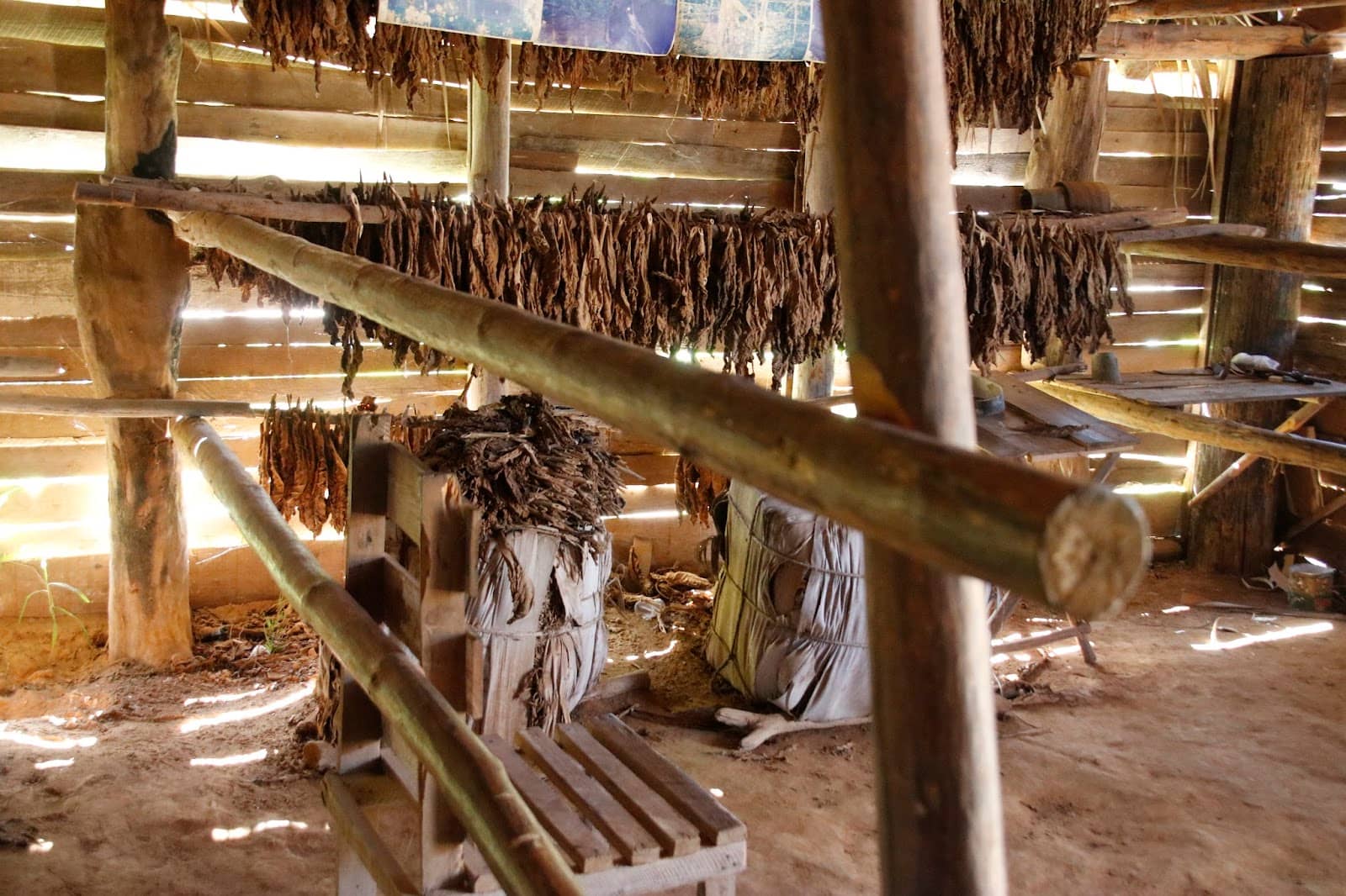 Freshly Made Cigars