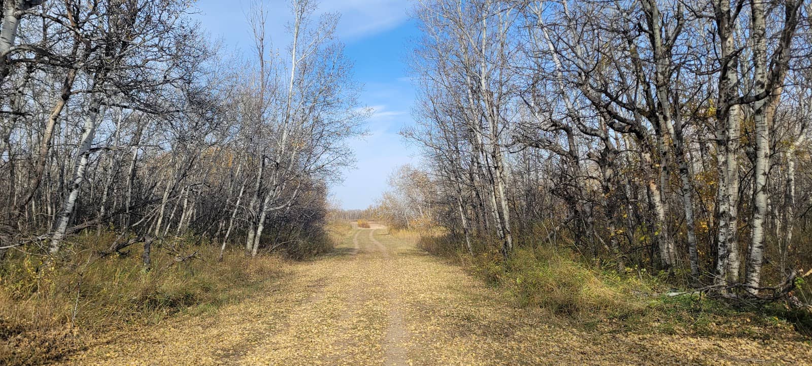Scenic Hiking Trails