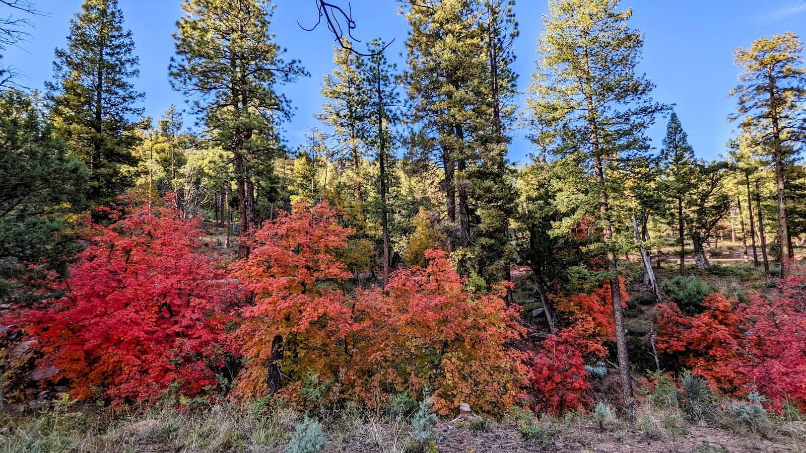 Quiet and Serene Atmosphere
