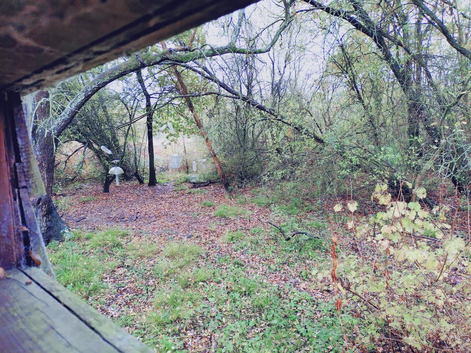 Lavell's Lake Nature Reserve - Image 1