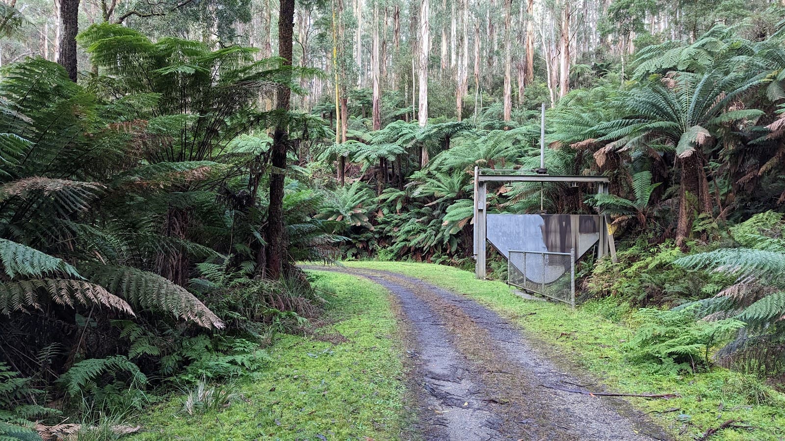 Maroondah Aqueduct Trail - Image 1