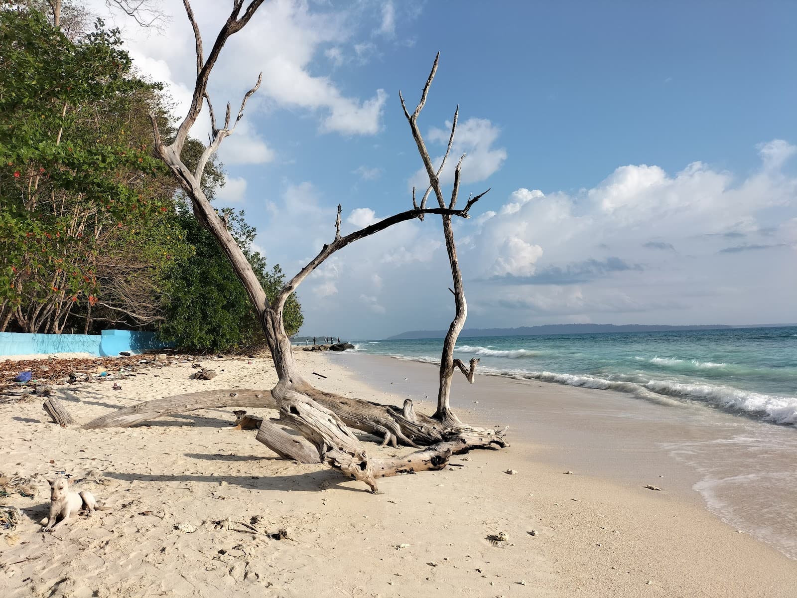 Kalapathar Beach Havelock Island Andaman and Nicobar Islands India - Image 1