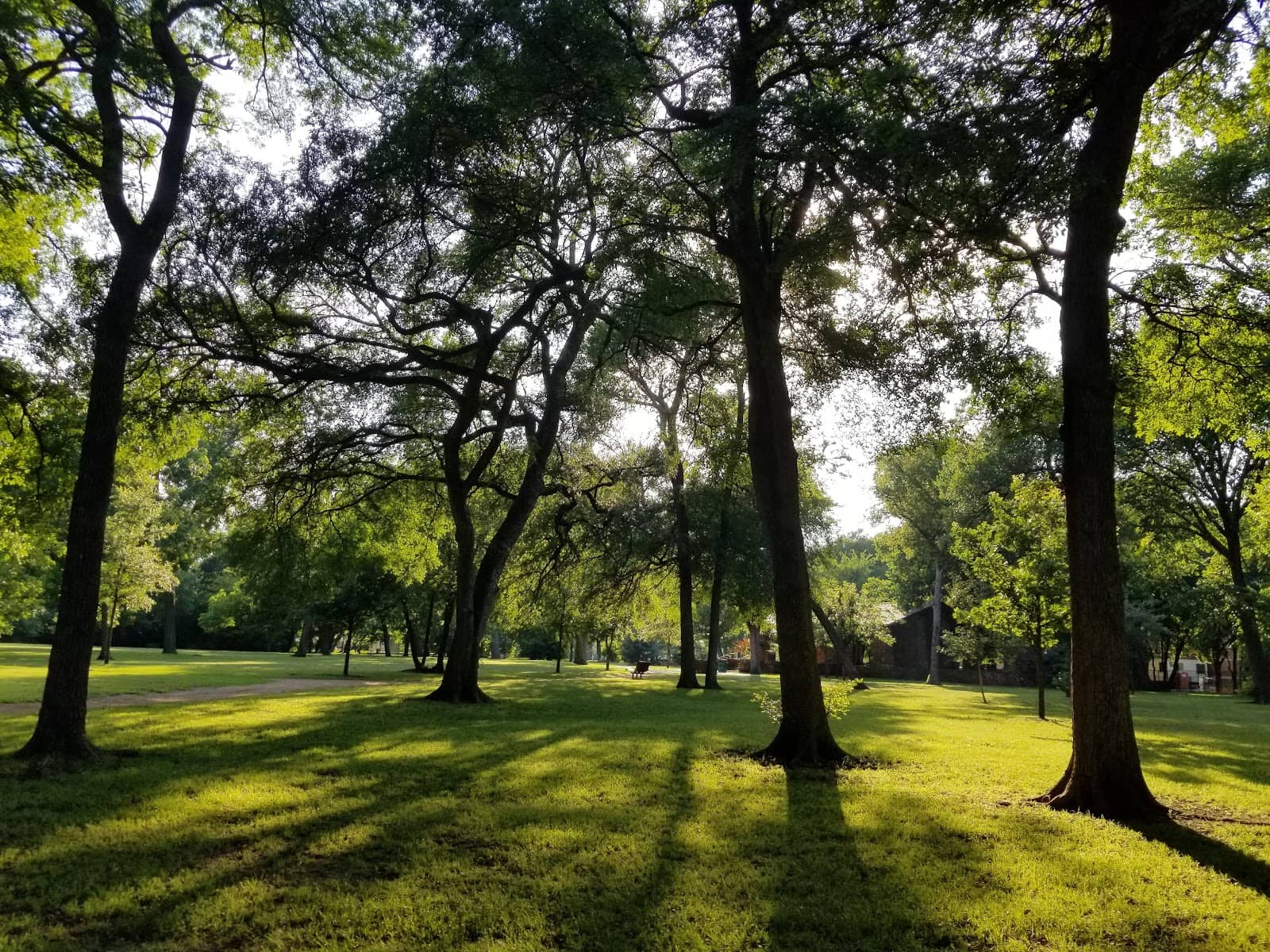 Abundant Wildlife Sightings