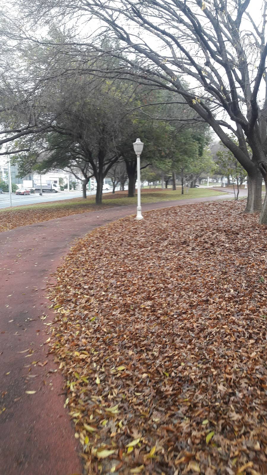 Café Culture & Sweet Treats