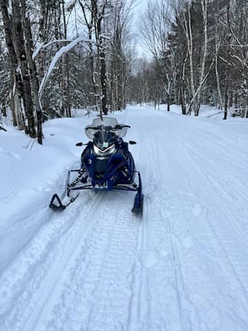 Wildlife Spotting Opportunities