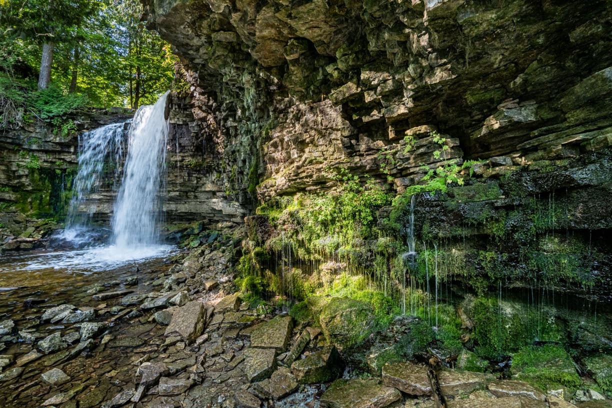 Hilton Falls Conservation Area - Image 1