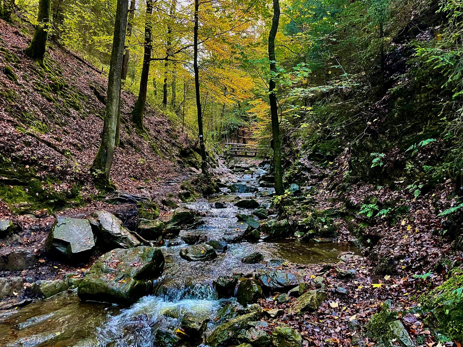 Ninglinspo - Image 1