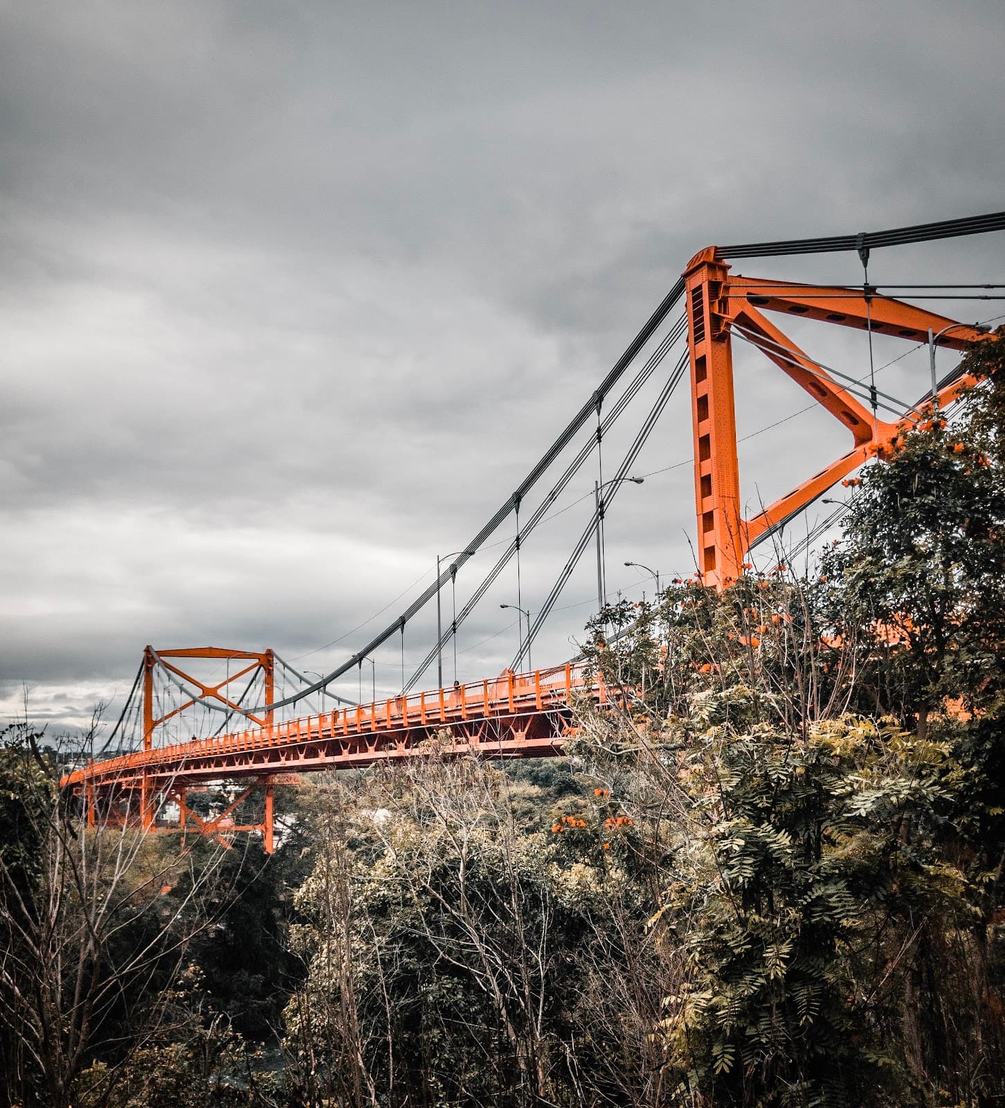 Puente Hermanos Patiño - Image 1