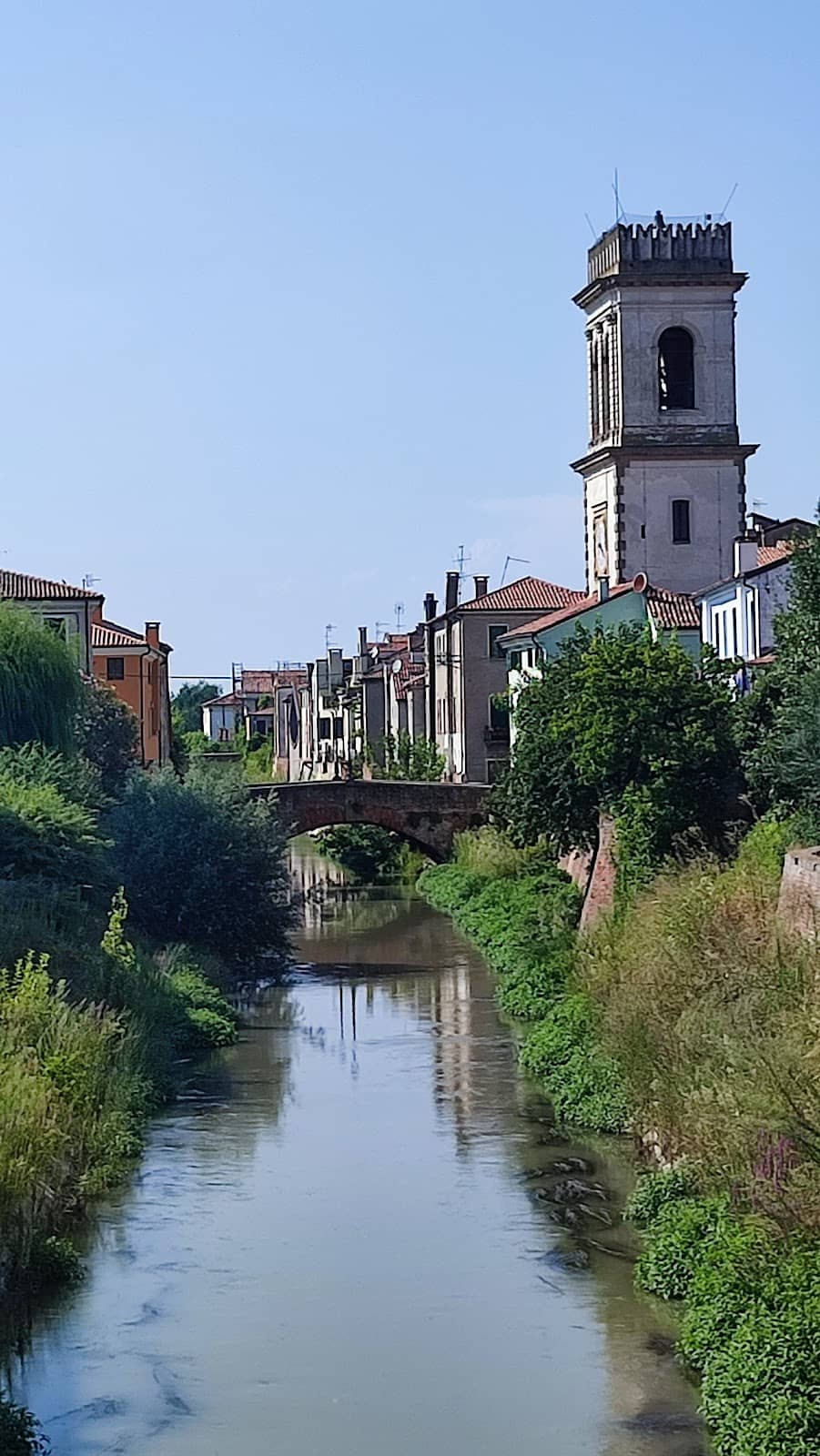 Vertical photo