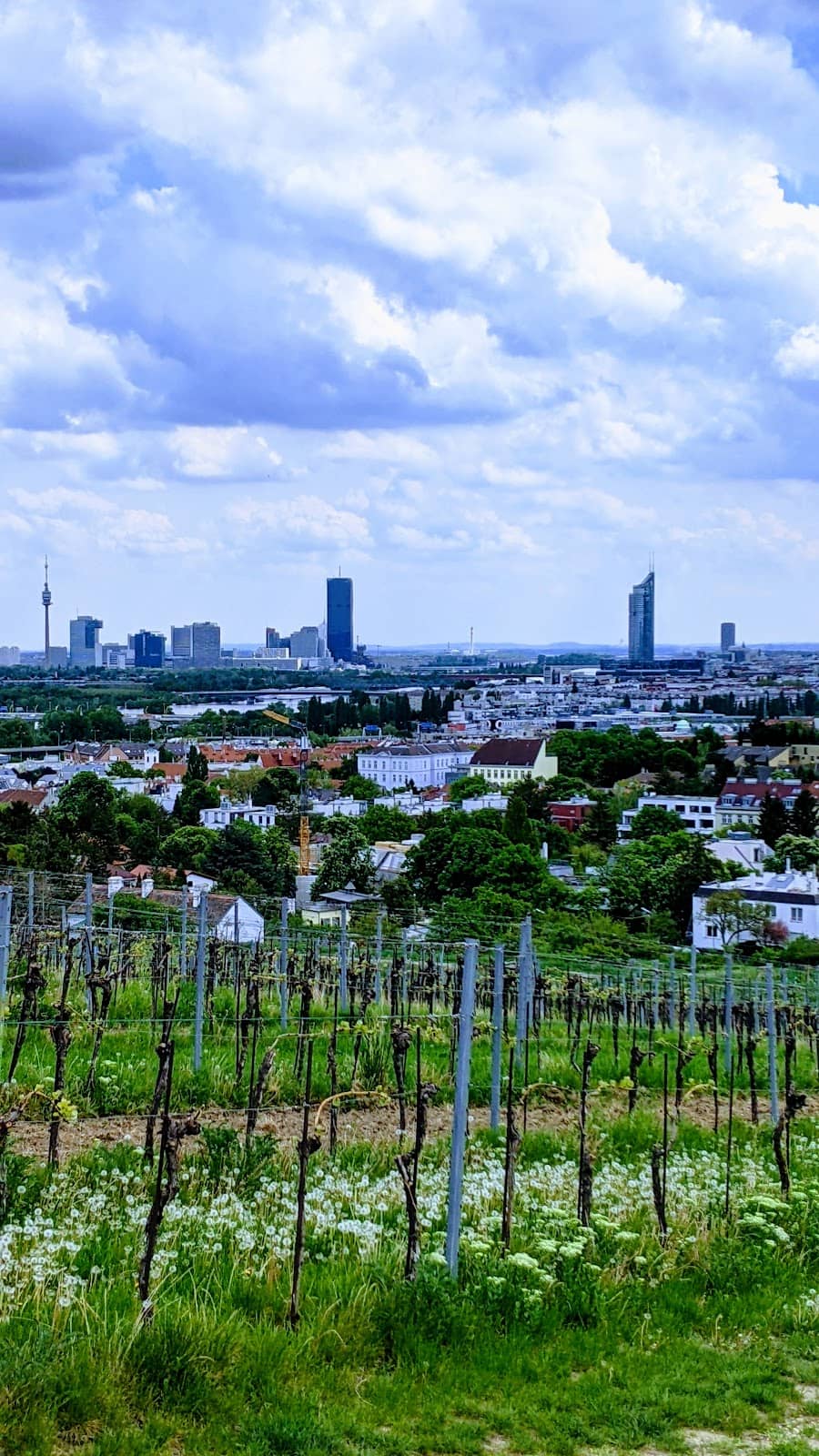Tram Ride to Nussdorf