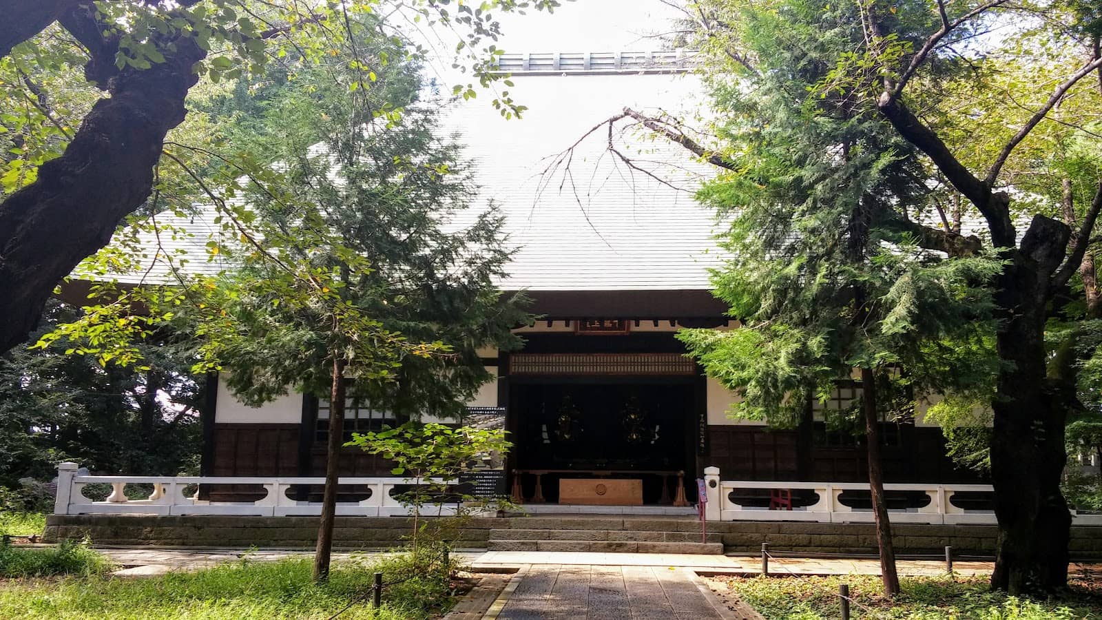 Sina Jina Bonsai Shop