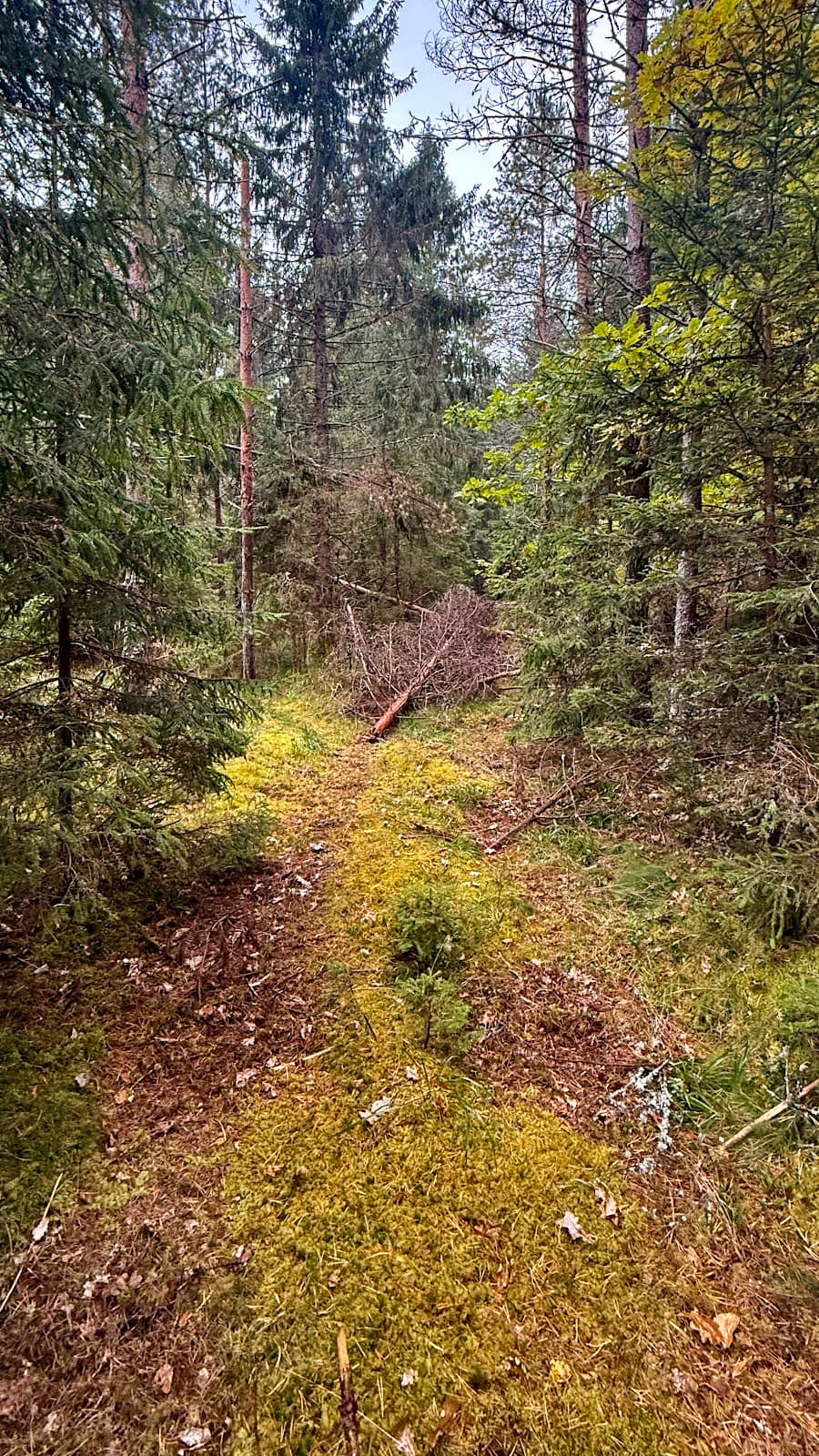 Vidzeme Upland Latvia - Image 1