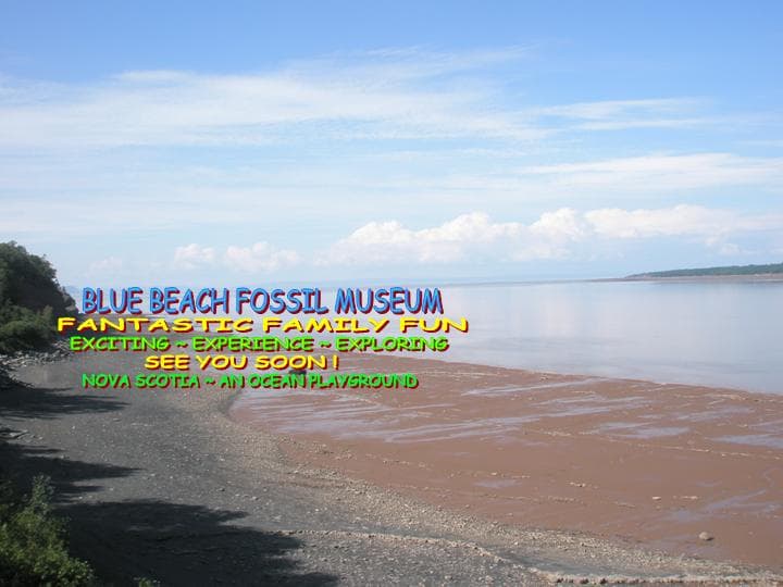 Blue Beach Fossil Museum - Image 1