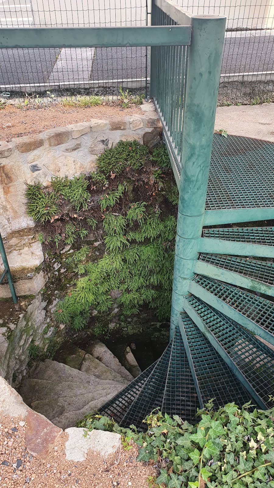 Vertical photo