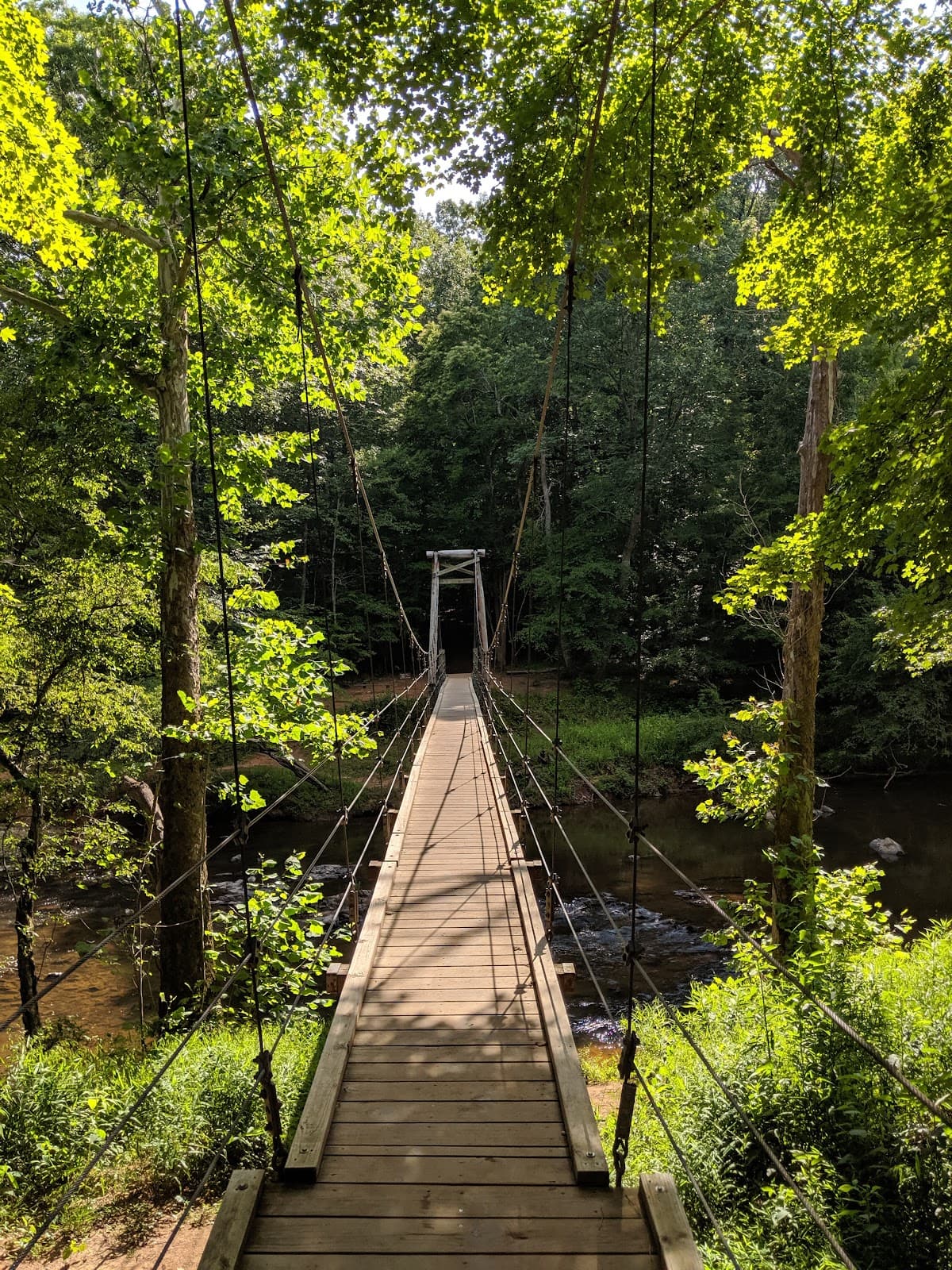 Eno River State Park - Image 1