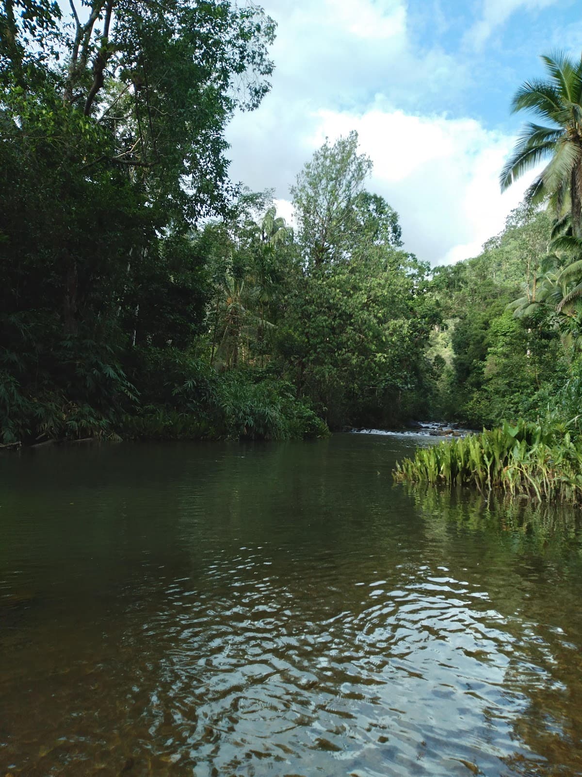 Digana Neighborhood - Image 1