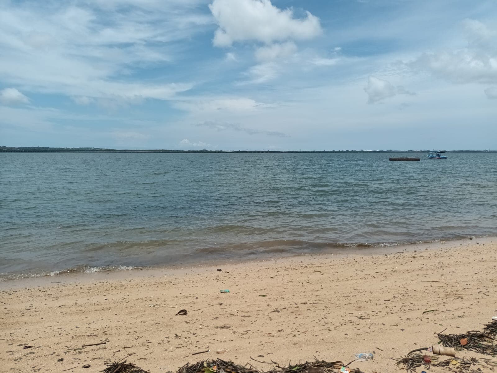 Ngurah Rai Mangrove Forest Bali - Image 1
