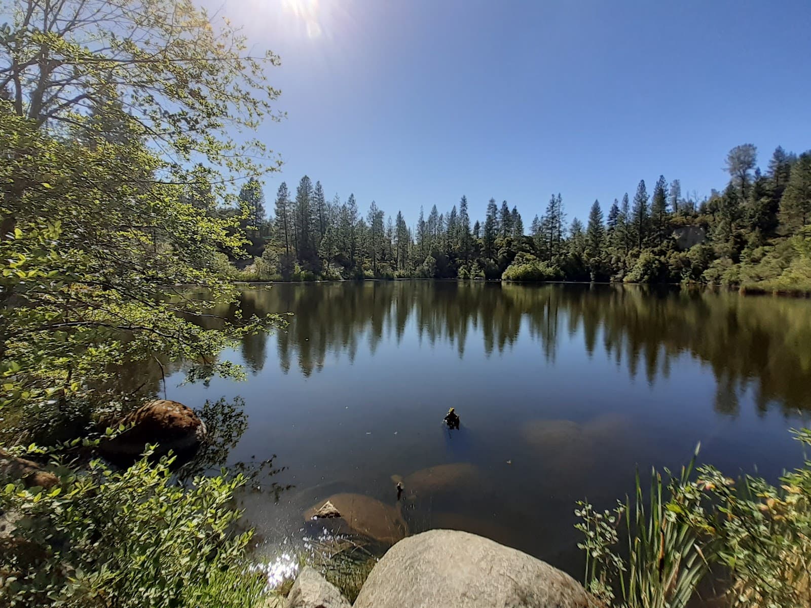Hirschman Trail and Pond - Image 1
