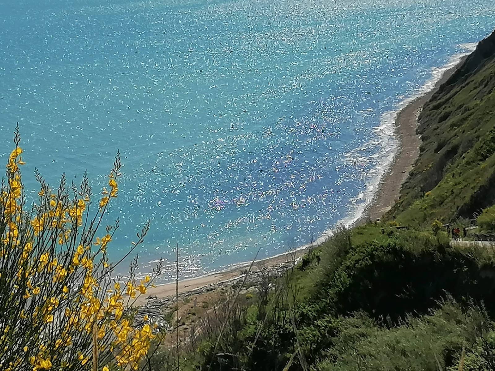 Dante's Alighieri Square