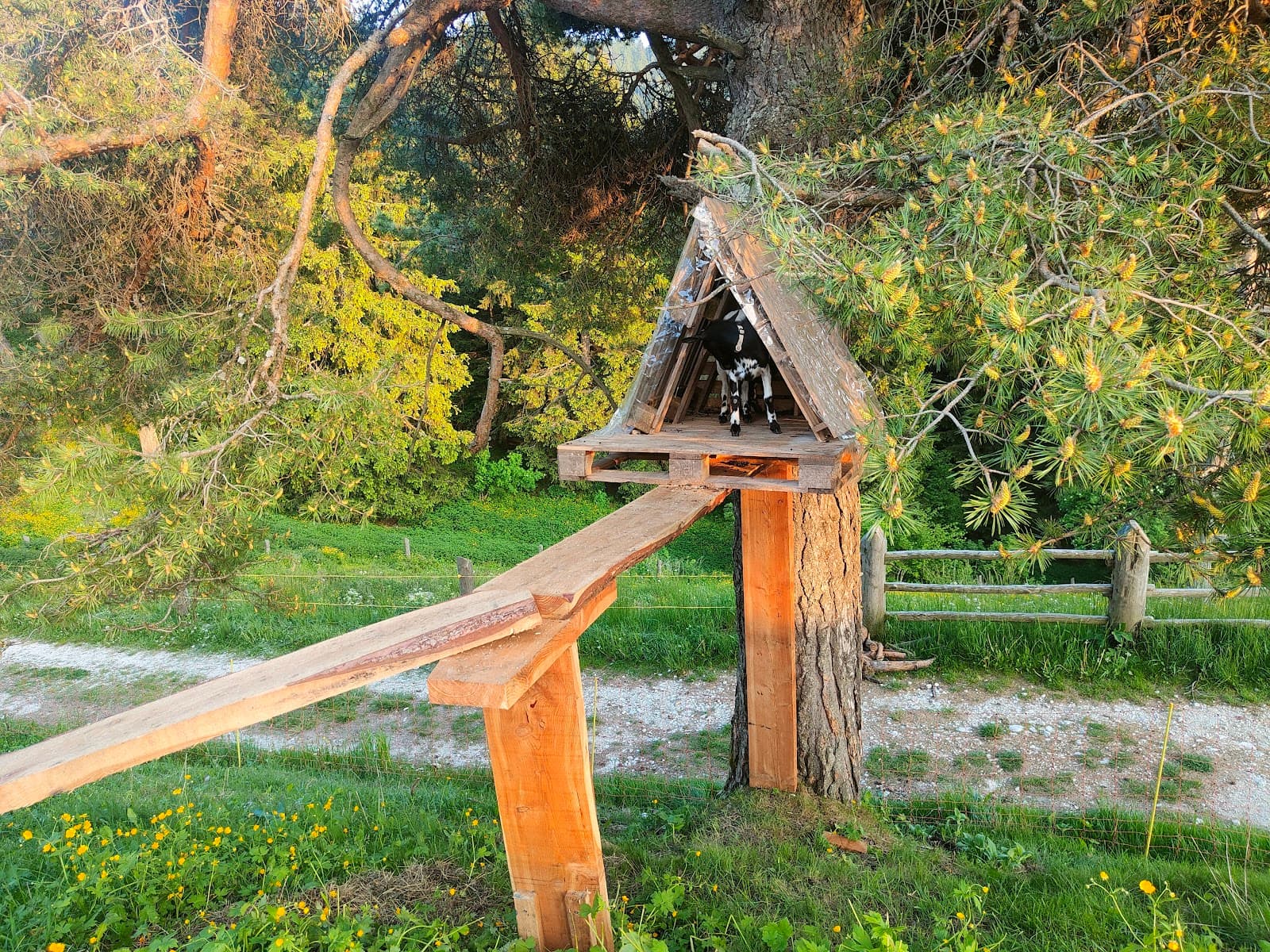 Malga Rodeza - Image 1