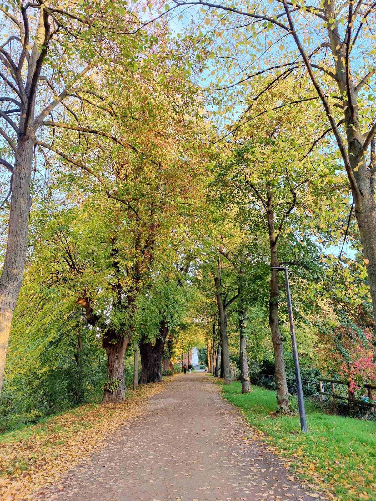 Festive Winter Ambiance