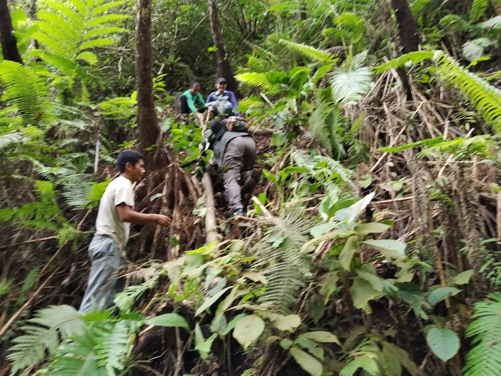 Mount Malinao - Image 1