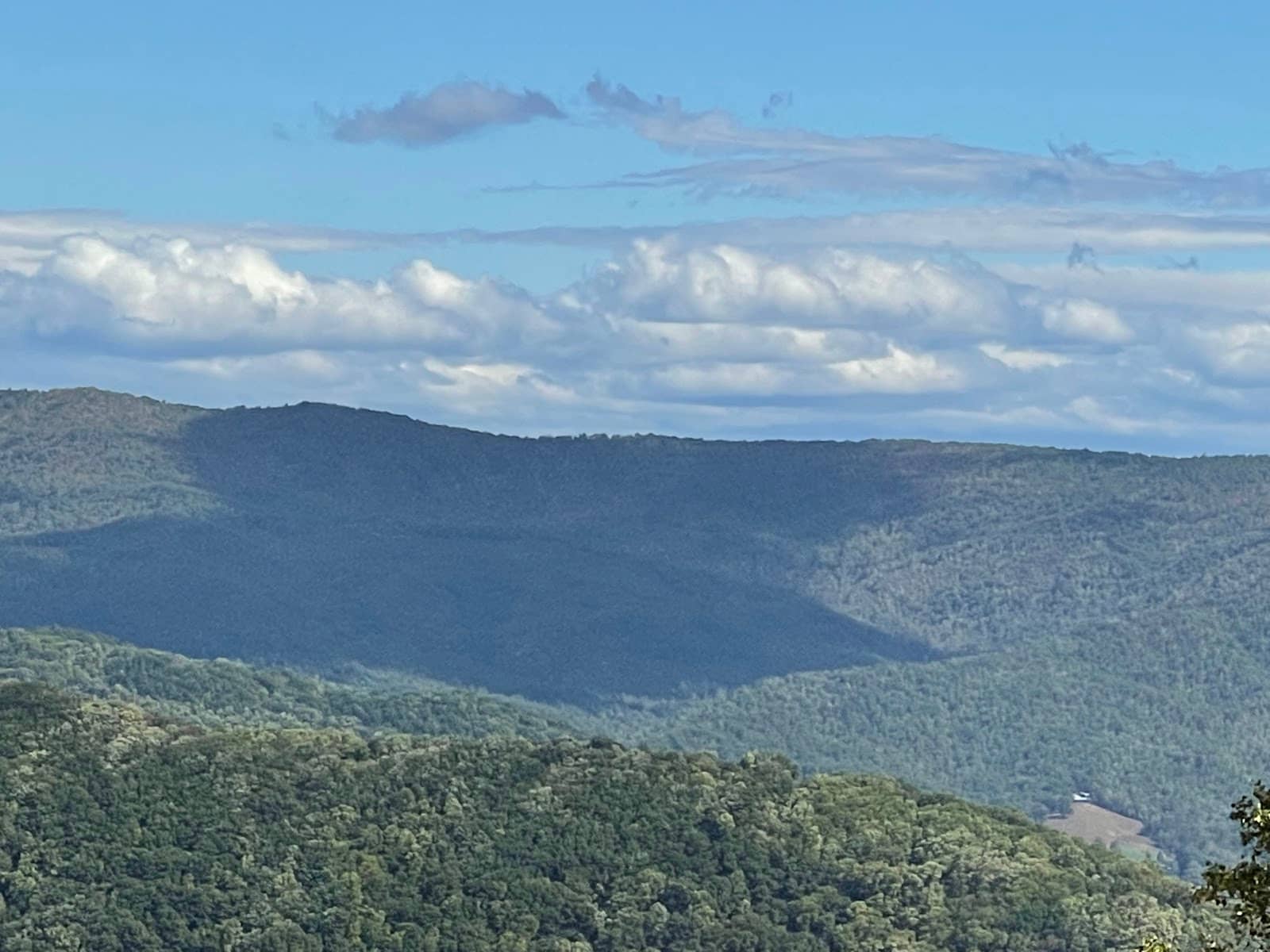 Mount Mitchell State Park