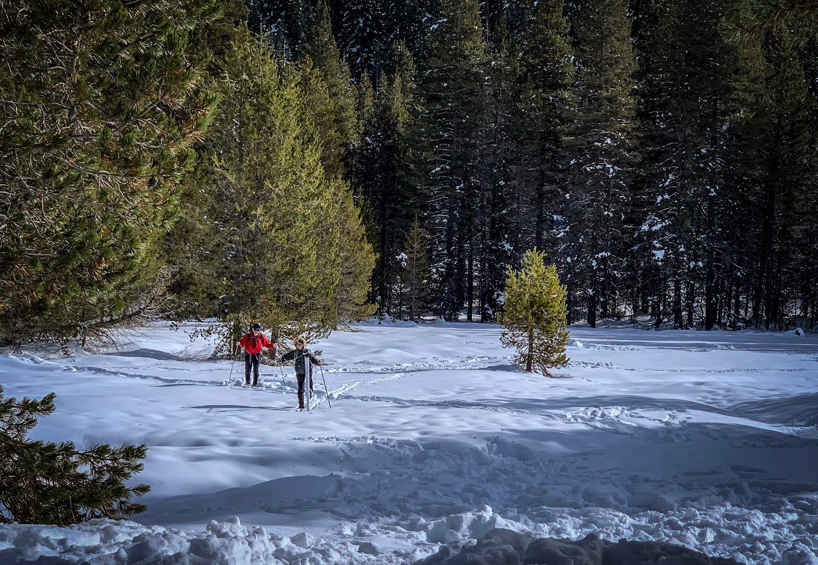Wolverton Meadow - Image 1